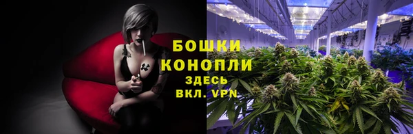 mdpv Белокуриха