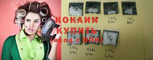 индика Белоозёрский