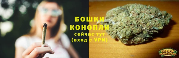 индика Белоозёрский