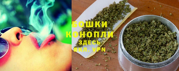 индика Белоозёрский