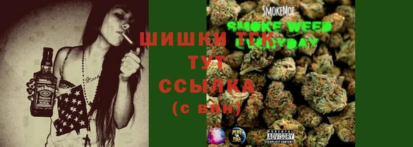 mdpv Белокуриха